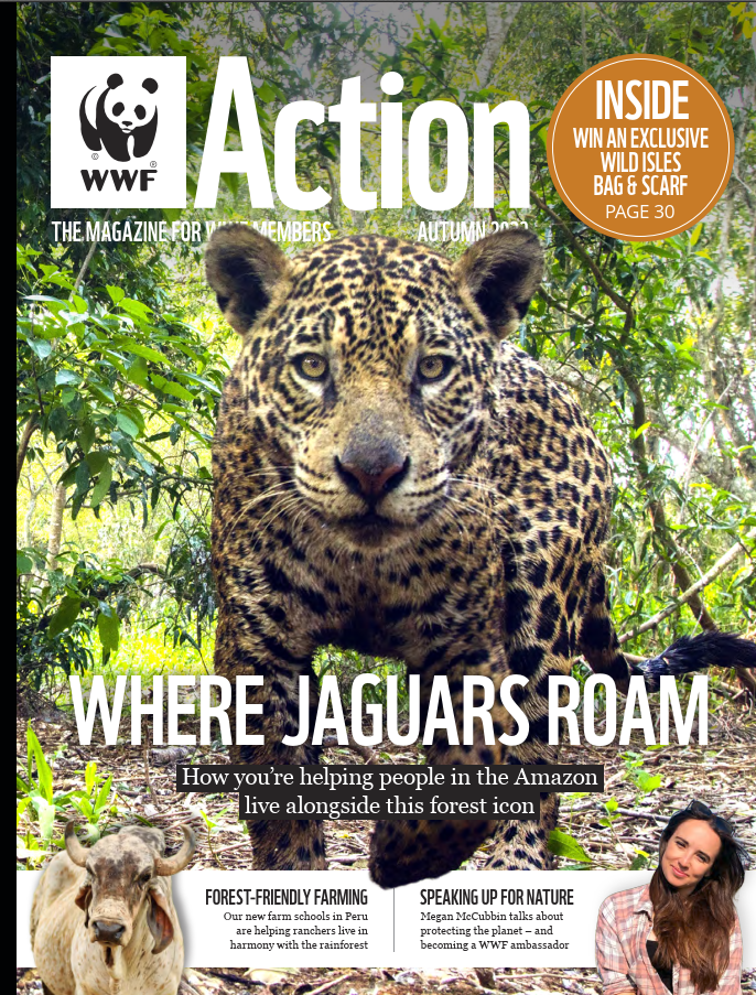 Download WWF's Action Magazine Issue 55