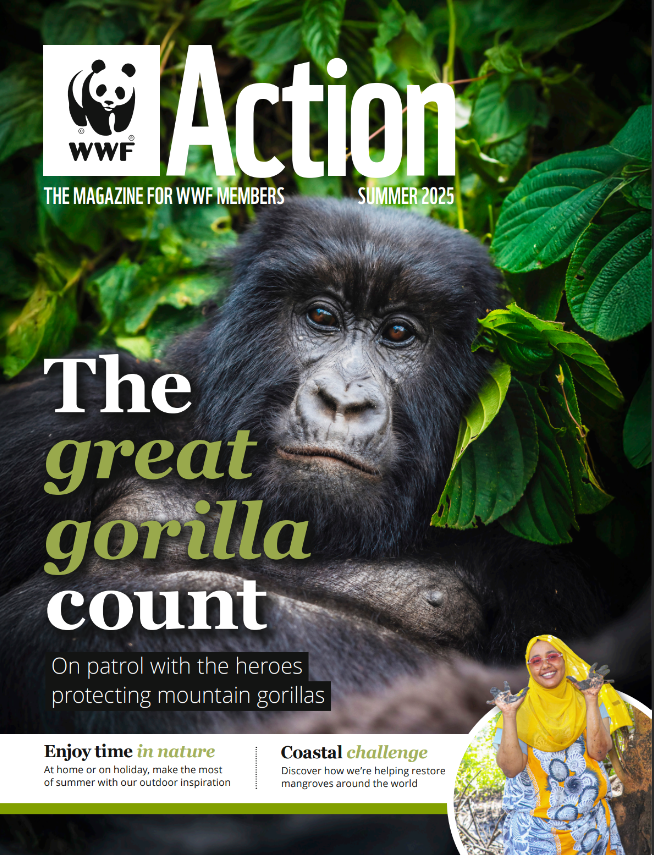 Download WWF's Action Magazine Issue 60