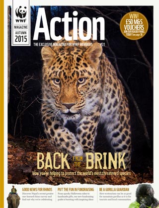 Download WWF's Action Magazine Issue 31