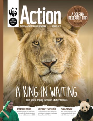 Download WWF's Action Magazine Issue 35