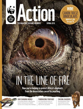 Download WWF's Action Magazine Issue 38