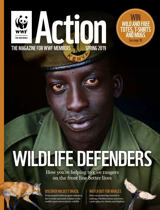 Download WWF's Action Magazine Issue 41