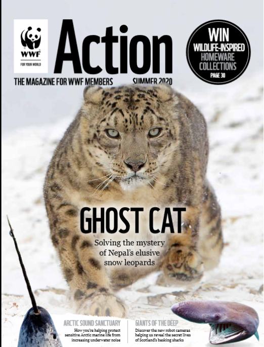 Download WWF's Action Magazine Issue 45