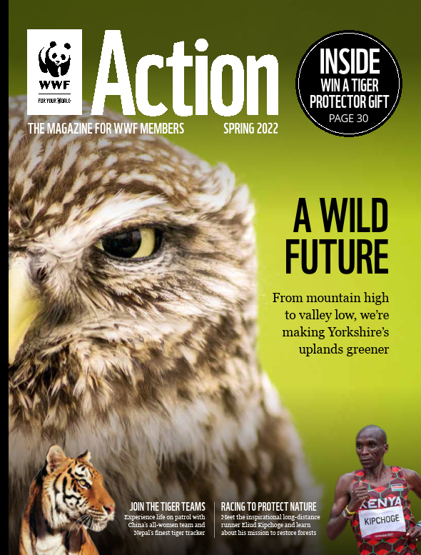 Download WWF's Action Magazine Issue 50
