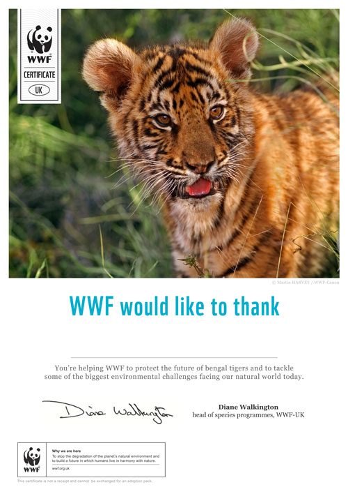 WWF Tiger adoption certificate
