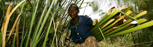 sustainable development