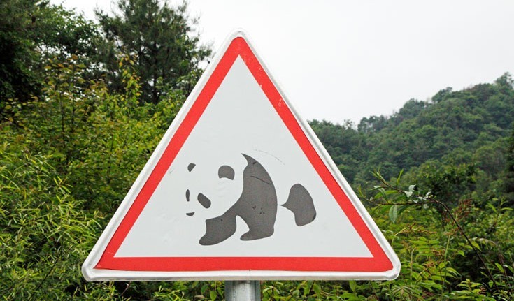 Panda road crossing sign, Dongliang Road ©WWF-UK