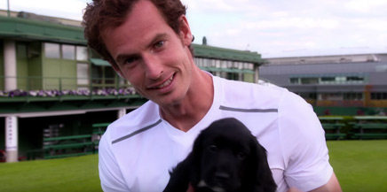 Andy Murray trains Wimbledon puppies