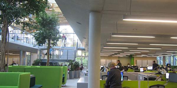 The natural daylight can be augmented by low-energy strip or spot-lighting when required