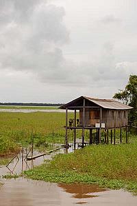 Houses on islands in the middle of the Amazon River - © Damian Fleming / WWF-UK Houses on islands in the middle of the Amazon River