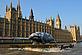 © Geoff Caddick / PA WWF whale on Thames at Houses of Parliament, 7 Feb 2012 - part of western gray whale campaign