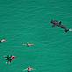 Basking shark 240 - istock Basking shark