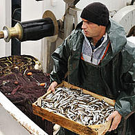 Catch of the day
