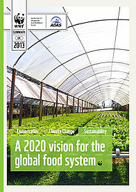 Front cover for the report 'A 2020 vision for the global food system'