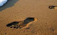 Footprint in the sand - WWF-UK Footprint in the sand
