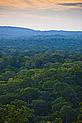 Forest at sunset, East province, Cameroon - (c) Brent Stirton/ Getty Images/ WWF-UK Forest at sunset, East province, Cameroon