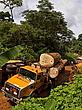 Logging truck passing another overturned logging truck, East province, Cameroon - (c) Brent Stirton/ Getty Images/ WWF-UK Logging truck passing another overturned logging truck, East province, Cameroon