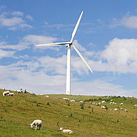 Windturbine in  a field of sheep, Wales