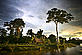Sunset on the Corrientes river, a tributary of the Amazon river. Peru