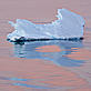 Ice floating in Antarctic waters - © Olaf Willoughby / WWF-UK Ice floating in Antarctic waters