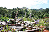 Abandoned sawmill Sungai Luar, West Kalimantan, Borneo - (C) Robin Clegg Abandoned saw mill Sungai Luar, West Kalimantan, Borneo