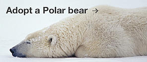 Link to adopt a polar bear