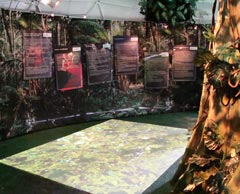 The WWF/Sky Amazon rainforest pod WWF