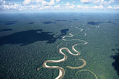 The Amazon Climate