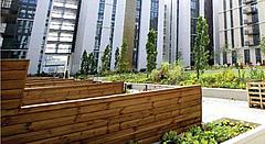 100% sustainably sourced timber was used at the Lend Lease's 2012 Athlete's Village © Lend Lease 100% sustainably sourced timber was used at the Lend Lease's 2012 Athlete's Village