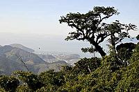 Landscape of São Sebastião Unit, Serra do Mar State Park, São Paulo, Brazil. - © WWF-Brazil / Adriano Gambarini Landscape of São Sebastião Unit, Serra do Mar State Park, São Paulo, Brazil.