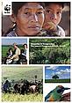 WWF Innovation in conservation: The case of Paraguay's Atlantic Forests Innovation in conservation: The case of Paraguay's Atlantic Forests