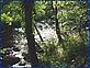 Ballinderry River - WWF Northern Ireland Ballinderry River