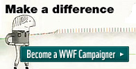 Sign up to be a Campaigner 