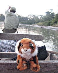 River safari - Nepal diary