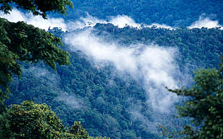 Kayan Mentarang National Park
© Alain Compost / WWF-Canon - © Alain Compost / WWF-Canon Kayan Mentarang National Park