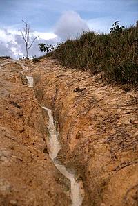 Erosion on recently deforested land near Manaus, Brazil