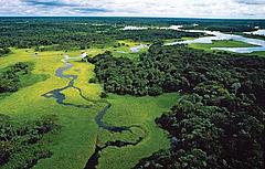 Brazil freshwater WWF UK
