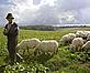 Bulgarian farmer © WWF-Canon / Michel GUNTHER
