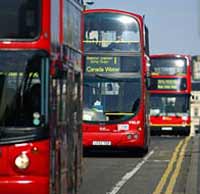 Red double decker buses