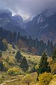 Rock of the King, Piatra Craiului National Park, Romania