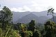 Dense forest landscape of the northeast tip of Borneo.