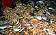 Discarded catch by deep sea trawler. North Atlantic © WWF-Canon / Mike R. JACKSON