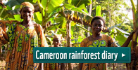 Cameroon rainforest diary