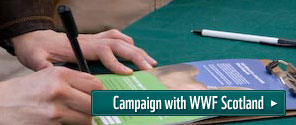 Campaign with WWF Scotland
