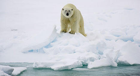 Voyage for the Future 2008, Spitsbergen, Norway