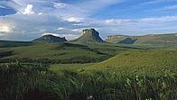 Diamantina Plateau, Cerrado Ecosystem, Brazil