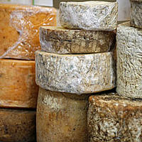 Cheeses