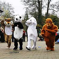 Running for charity