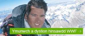 Climate Witness - Ymunwch a dystion hinsawdd WWF