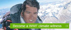 Become a WWF Climate Witness